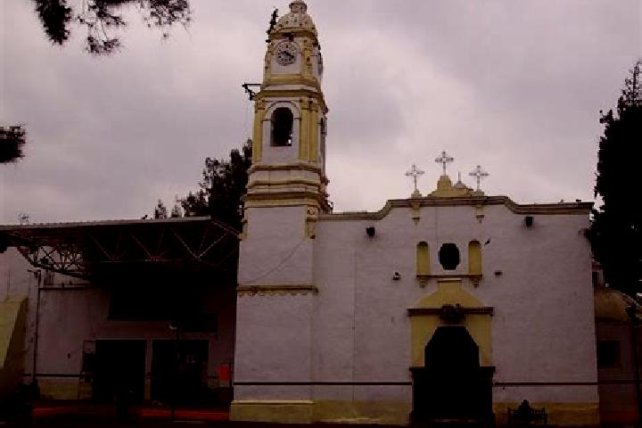Iris, 21 — Escort in Nuevo San Gregorio, Mexico