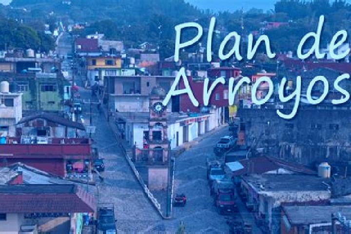 Iris, 21 — Escort in Plan de Arroyos, Mexico