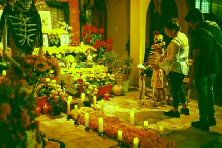 Iris, 21 — Escort in Tuxcacuesco, Mexico