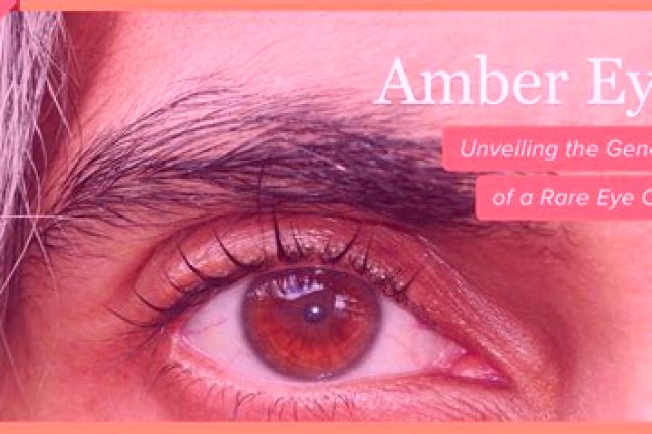 Iris, 22, a black amber-eyed caucasian companion based in Quadroni-Fontolfi-Impicciaturo-Maligni. Offering Duos, Deep French Kissing, Erotic Massage, OWO. Av...