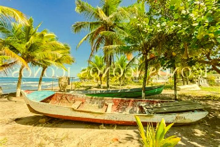 Iris, 22 — Escort in Baracoa, Honduras