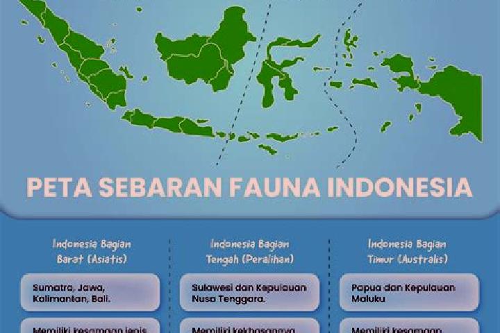 Iris, 22 — Escort in Gersikputih Tengah, Indonesia