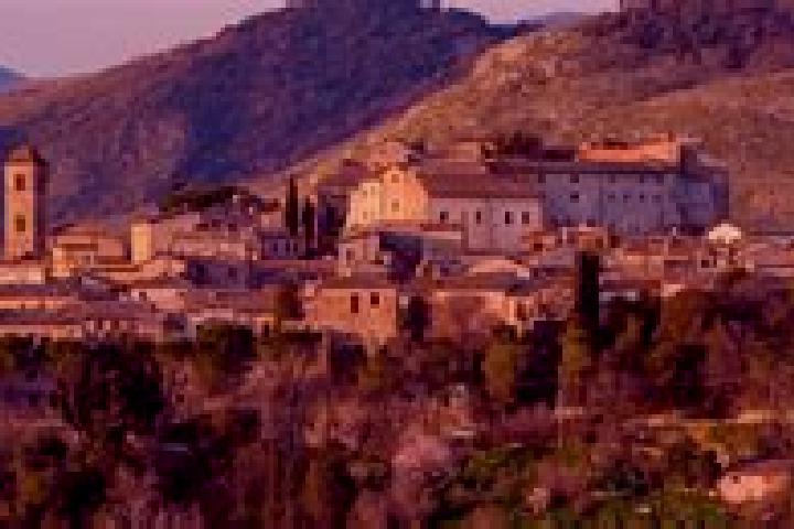 Iris, 22 — Escort in Monticello di Fara, Italy