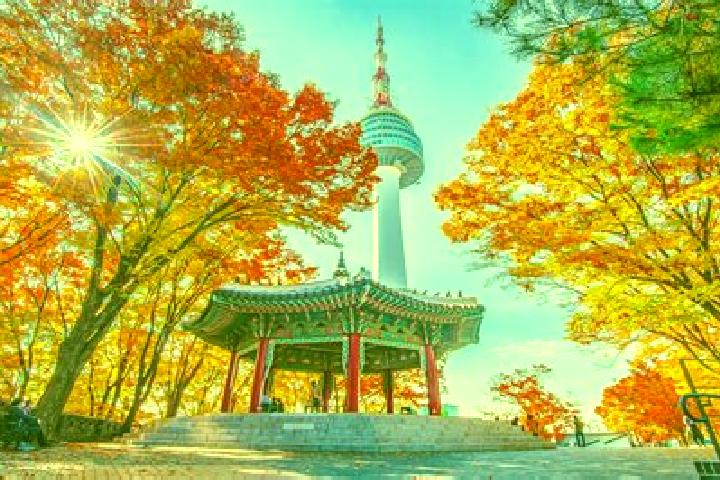 Iris, 22 — Escort in Sindo, North Korea