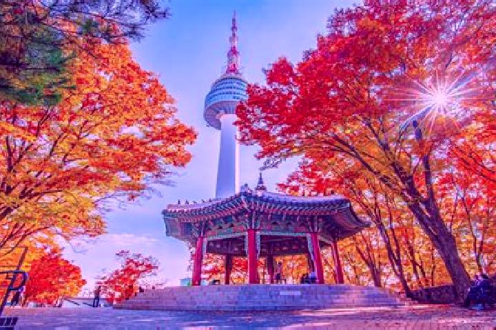 Iris, 22 — Escort in Wolgot, South Korea