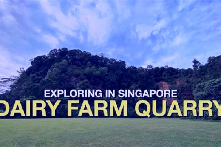Iris, 23 — Escort in Dairy Farm, Singapore