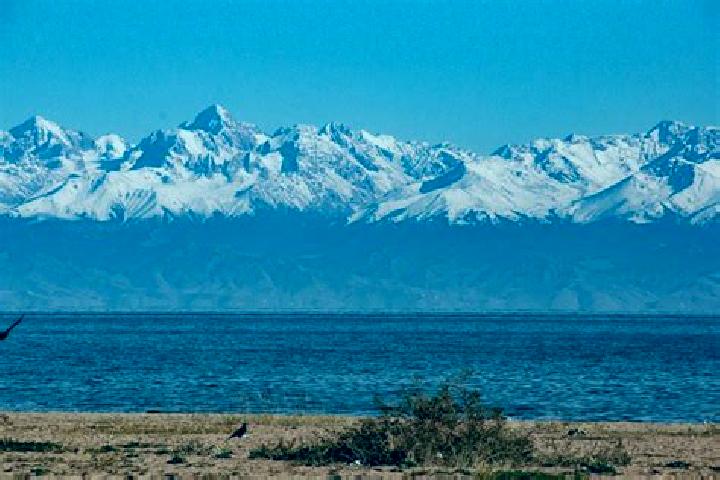 Iris, 23 — Escort in Kara-Kul , Kyrgyzstan