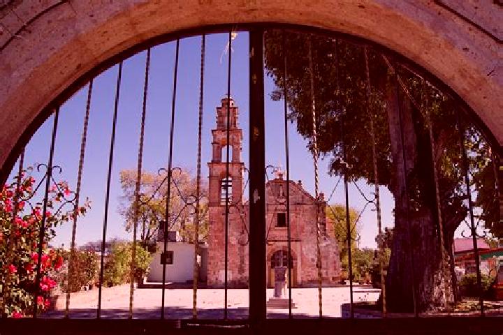 Iris, 23 — Escort in Tecoac (Santa Maria Nativitas), Mexico