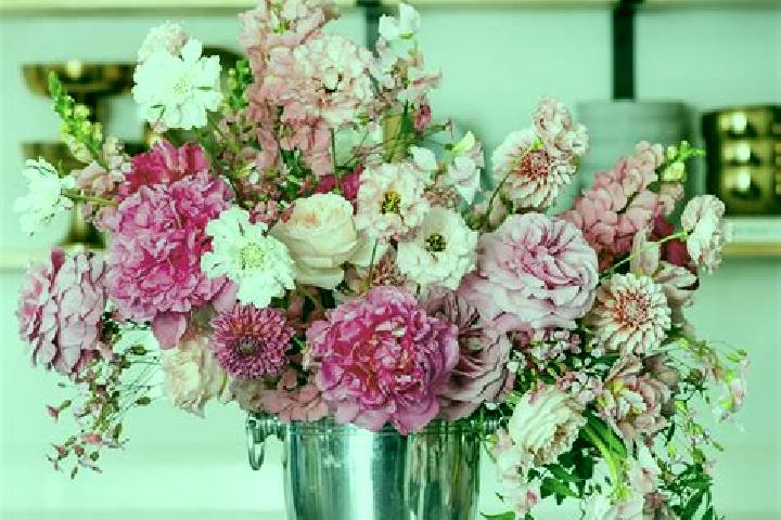 Iris, 23 — Escort in Vase, Slovenia