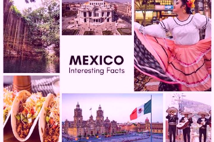 Iris, 23 — Escort in Yaltem, Mexico