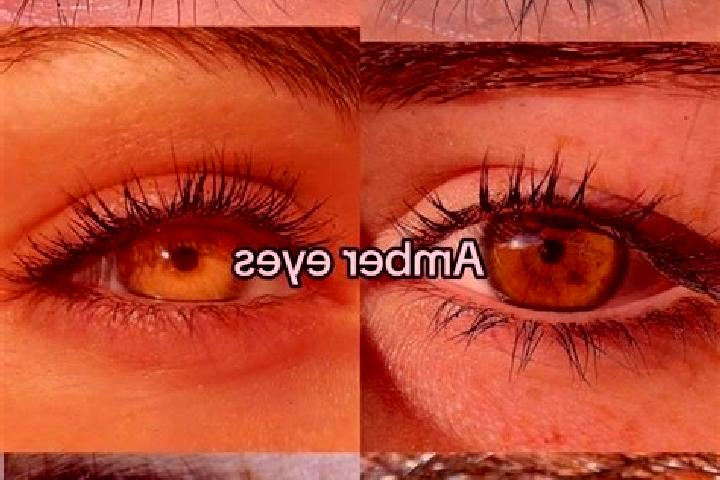 Iris, 24, a chestnut amber-eyed slavic companion based in Hermiswil. Offering Domination, Travel Companion, Couples. Available for incall and outcall, day an...