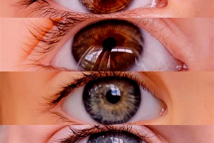 Iris, 24, a chestnut green-eyed mixed companion based in Montevago. Offering Roleplay, Domination, CIM, Tantra. Available for incall and outcall, day and eve...