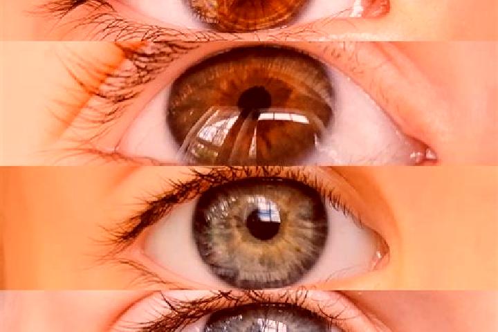 Iris, 24, a chestnut hazel-eyed caucasian companion based in Niepars. Offering Fetish, Prostate Massage, BDSM, Tantra. Available for incall and outcall, day ...