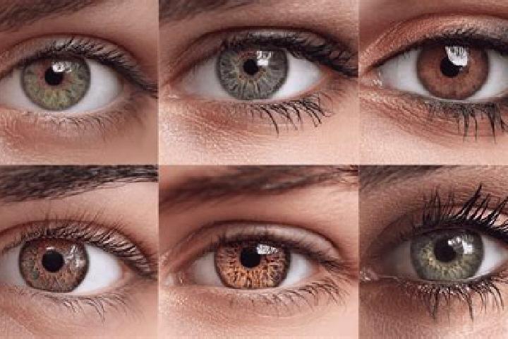 Iris, 24, a chestnut hazel-eyed middle eastern companion based in Krajan Dongko. Offering A-Level, 69, Tantra. Available for incall and outcall, day and even...