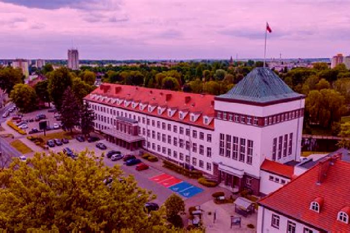 Iris, 24 — Escort in Brzyskorzystewko, Poland