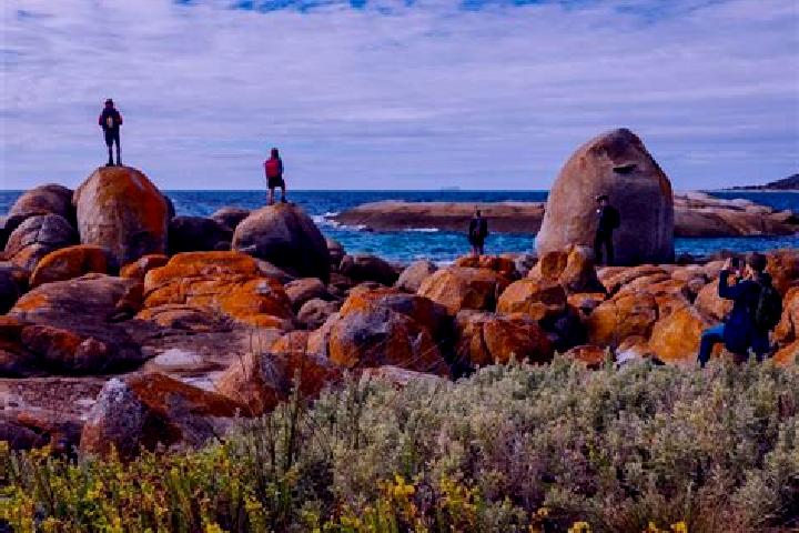 Iris, 24 — Escort in Flinders, Australia