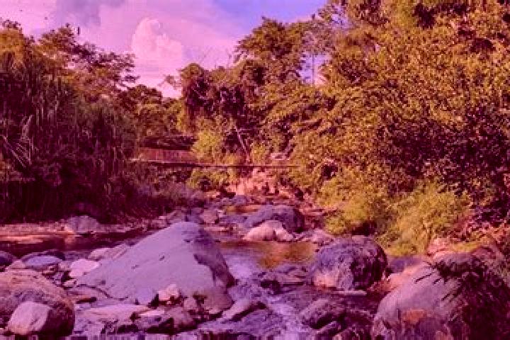 Iris, 24 — Escort in Nuevo Progreso, Guatemala