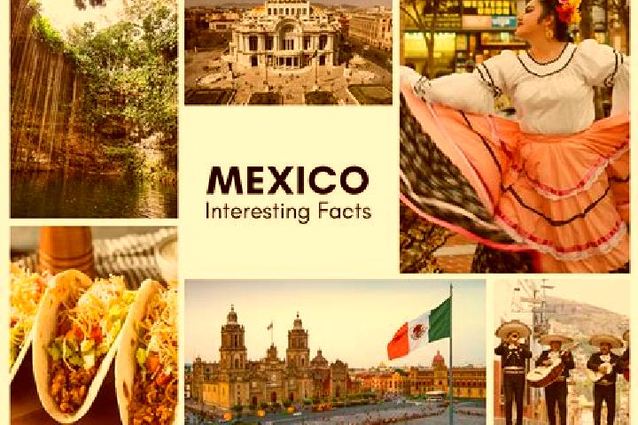 Iris, 24 — Escort in Pumacachocochuchut, Mexico