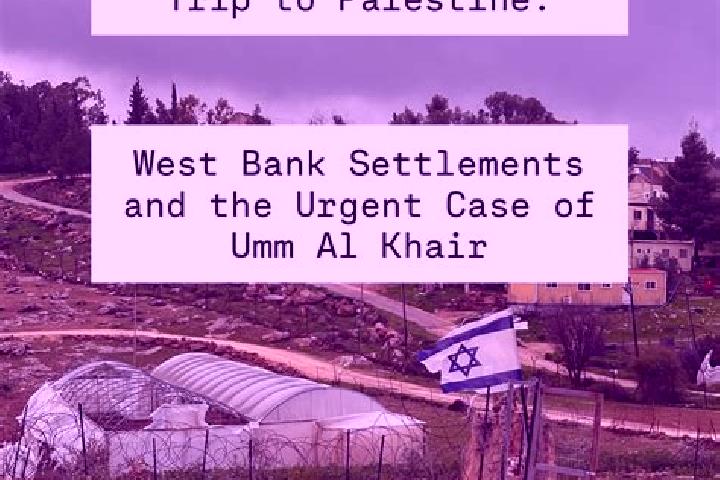 Iris, 24 — Escort in Umm Salmunah, Palestine