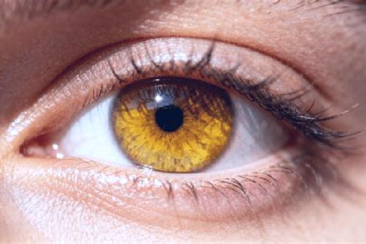 Iris, 25, a black amber-eyed european companion based in Duba. Offering Fetish, Travel Companion, Duos. Available for incall and outcall, overnight bookings ...