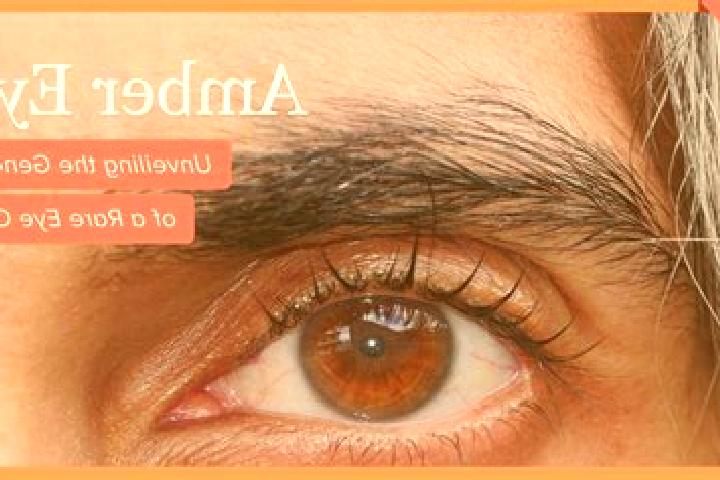 Iris, 25, a red amber-eyed caucasian companion based in Oberfischbach. Offering Duos, Girlfriend Experience, BDSM. Available for incall and outcall, day and ...