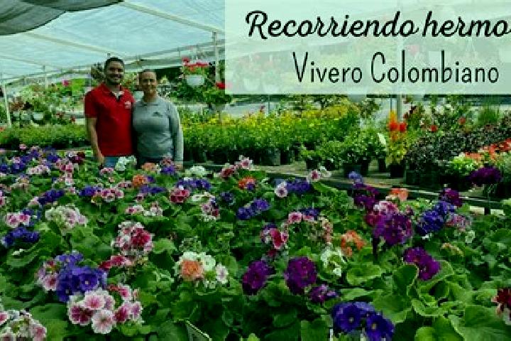 Iris, 25 — Escort in Alto del Moralito, Mexico