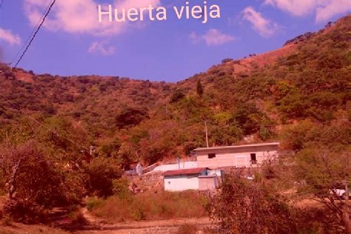 Iris, 25 — Escort in Huerta Vieja, Mexico