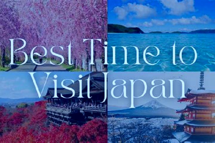 Iris, 25 — Escort in Kanie, Japan