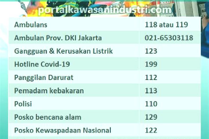 Iris, 25 — Escort in Mersam, Indonesia