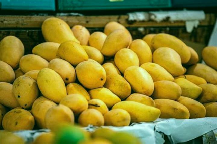 Iris, 25 — Escort in Plan de los Mangos, Mexico