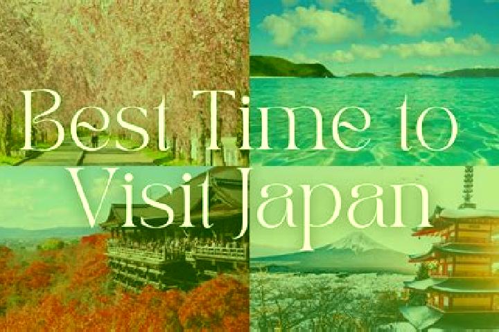 Iris, 25 — Escort in Sonogishukugo, Japan