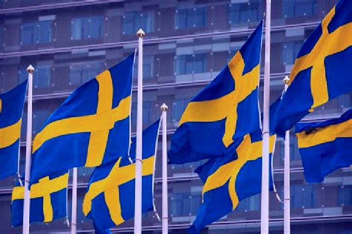 Iris, 25 — Escort in Svaerdsjoe, Sweden