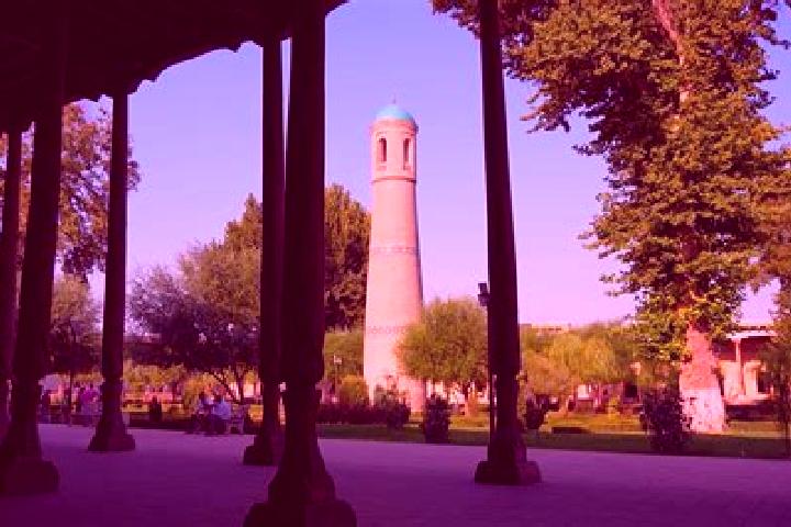 Iris, 25 — Escort in Toshloq, Uzbekistan