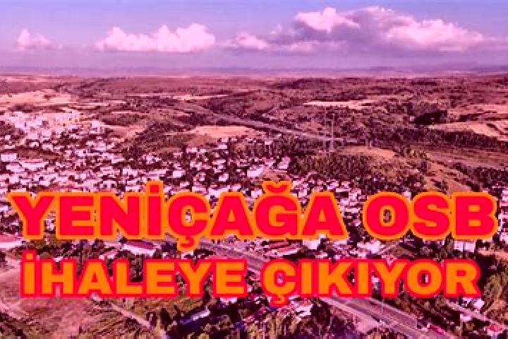 Iris, 25 — Escort in Yenicaga, Turkey