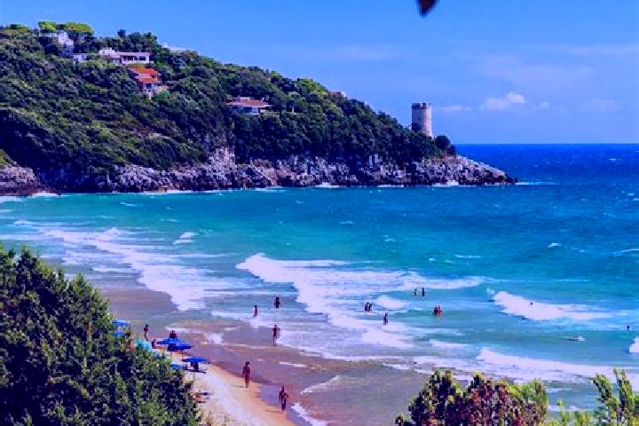 Iris, 26, a red blue-eyed ebony companion based in Lido di Tarquinia. Offering Duos, Prostate Massage, BDSM, Travel Companion, Massage. Available for incall ...