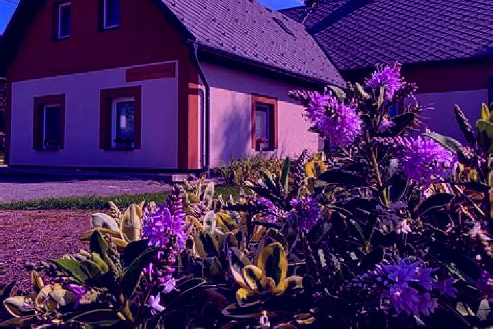 Iris, 26 — Escort in Batnovice, Czech Republic