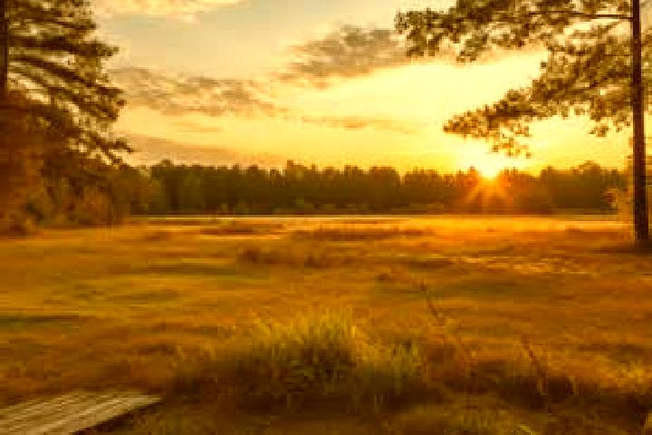 Iris, 26 — Escort in Mont Alto, United States