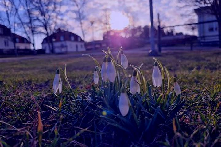 Iris, 26 — Escort in Soederkoeping, Sweden