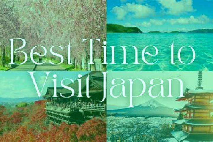 Iris, 26 — Escort in Tatsunocho-tominaga, Japan
