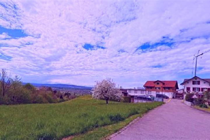 Iris, 27 — Escort in Hittnau / Hittnau (Dorf), Switzerland