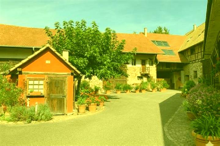 Iris, 27 — Escort in Mittelhausbergen, France