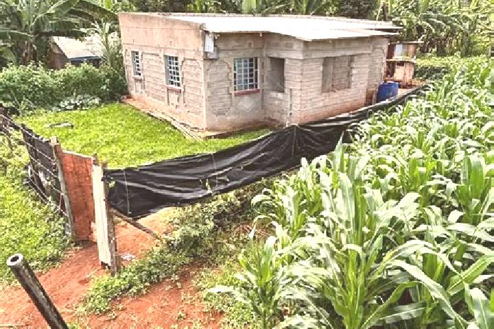 Iris, 27 — Escort in Othaya, Kenya