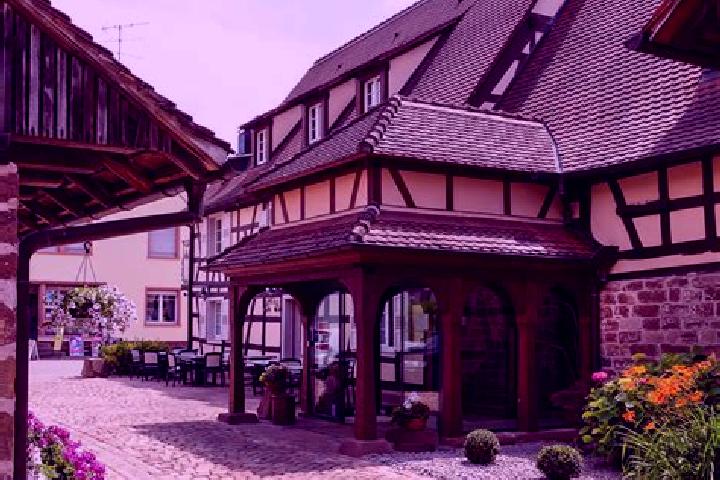 Iris, 27 — Escort in Siebeldingen, Germany