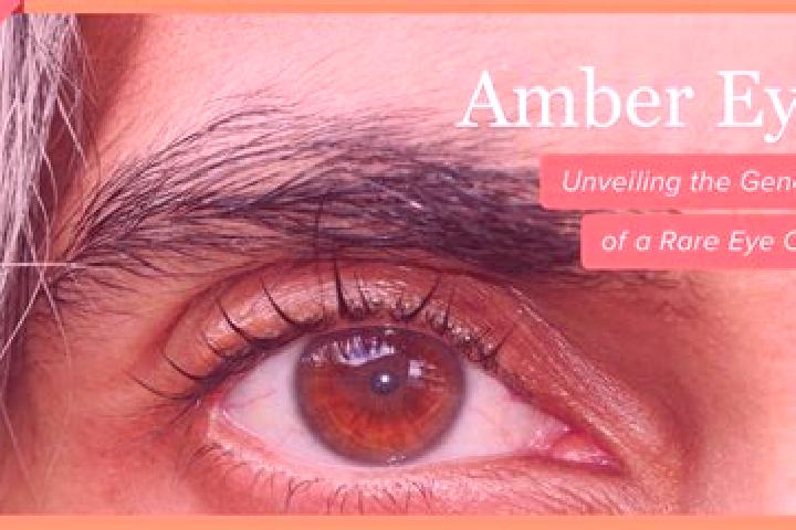 Iris, 28, a black amber-eyed mixed companion based in Long Khanh. Offering Domination, A-Level, Duos. Available for incall and outcall, overnight bookings av...