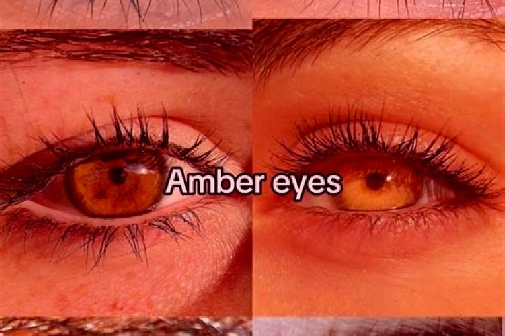 Iris, 28, a chestnut amber-eyed middle eastern companion based in Yermakovo. Offering CIM, OWO, Couples, Fetish. Available for incall and outcall, overnight ...