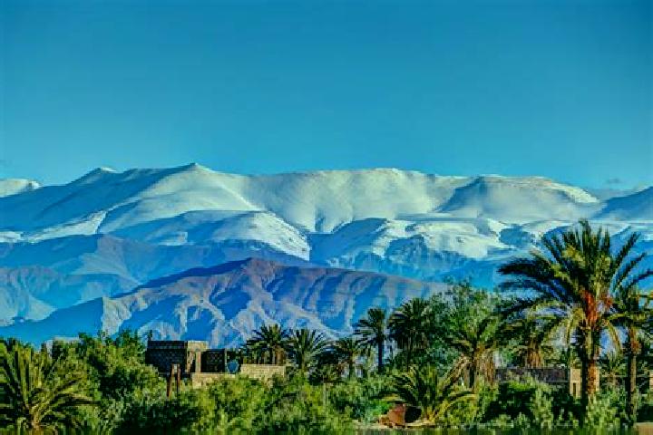 Iris, 28 — Escort in Ahfir, Morocco