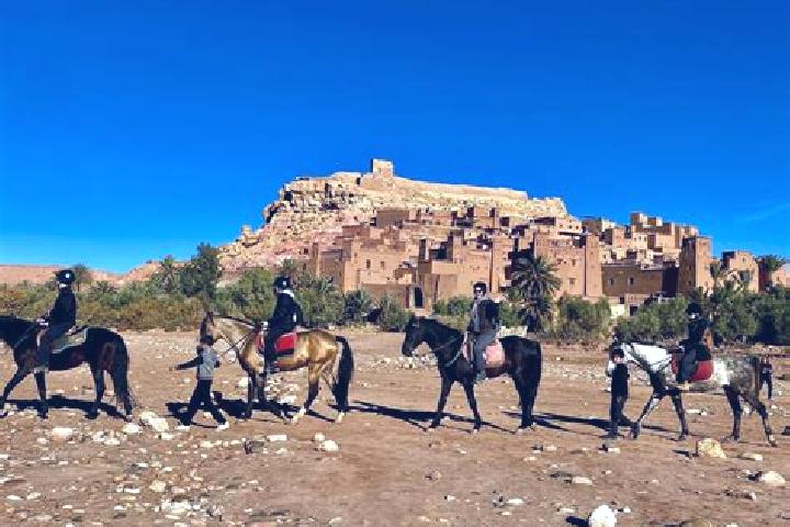 Iris, 28 — Escort in Ait Yazza, Morocco