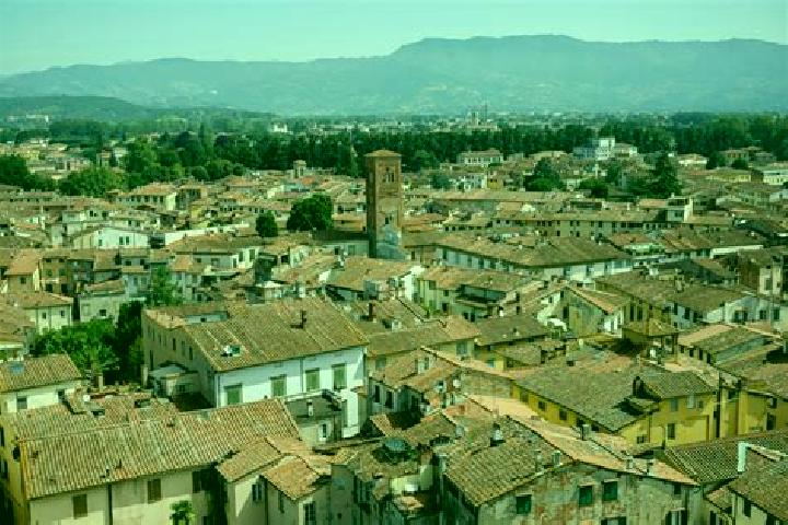 Iris, 28 — Escort in Castellana Sicula, Italy
