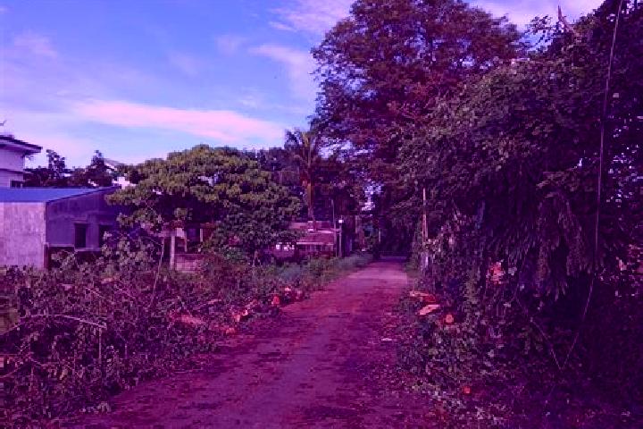 Iris, 28 — Escort in Culasi, Philippines