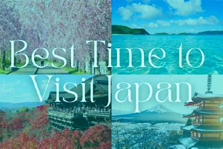 Iris, 28 — Escort in Hatogaya-honcho, Japan